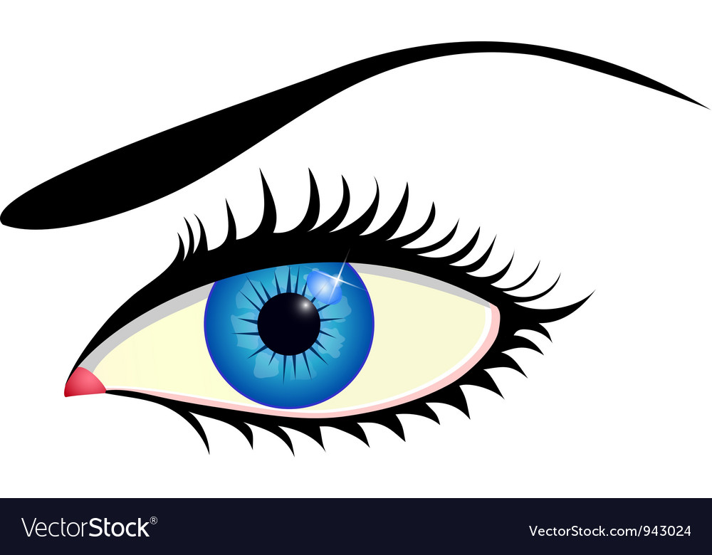 Beautiful blue eye Royalty Free Vector Image - VectorStock