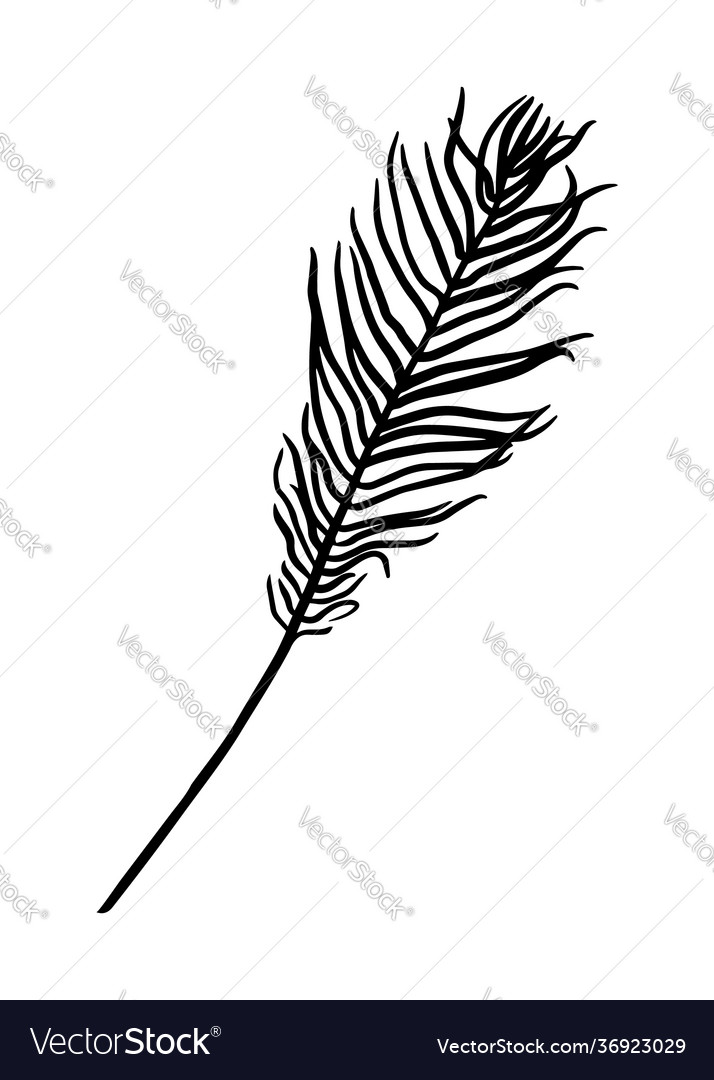 A fern leaf contour drawing hand doodle style Vector Image