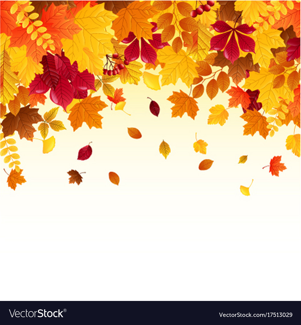 Falling autumn leaves Royalty Free Vector Image