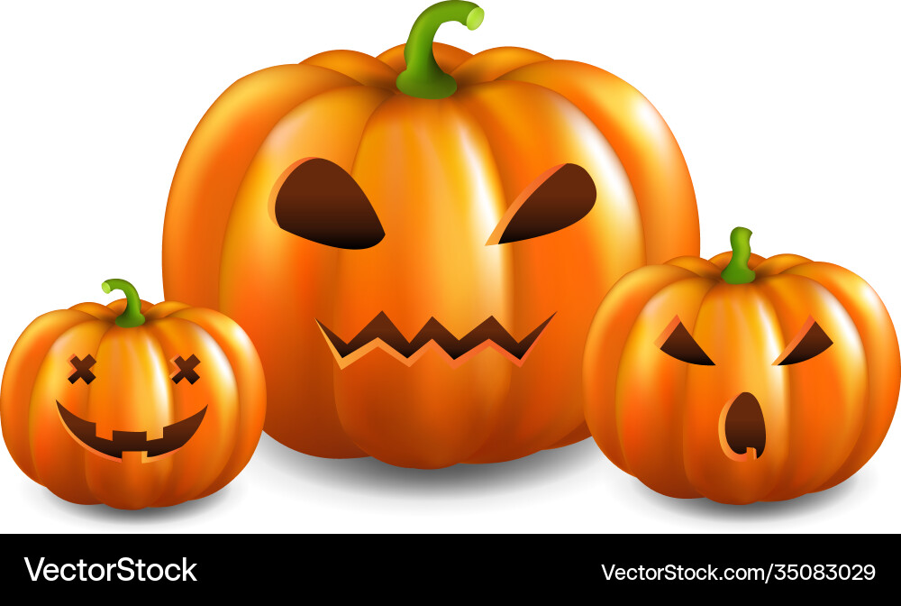 Three pumpkins isolated white background Vector Image