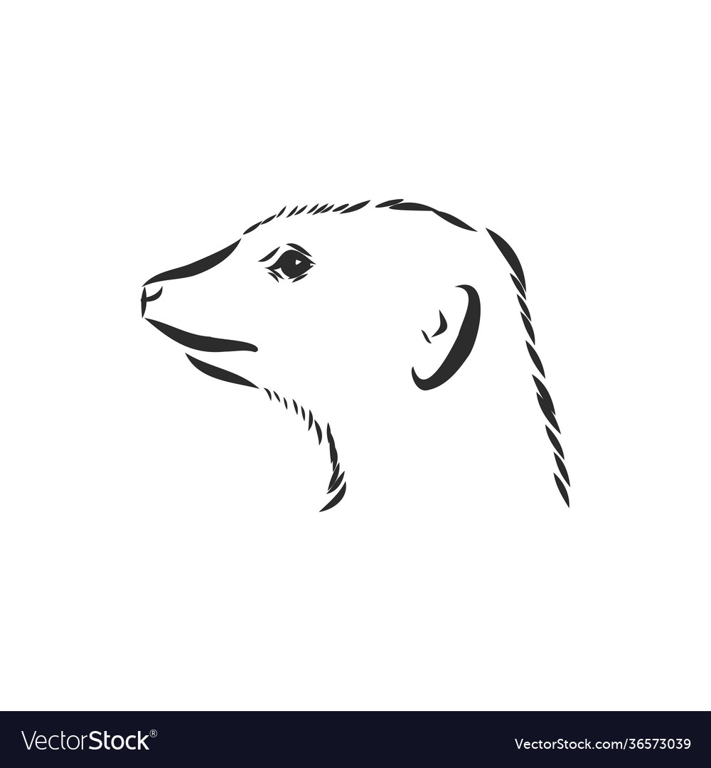 Meerkat icon animal sign sketch