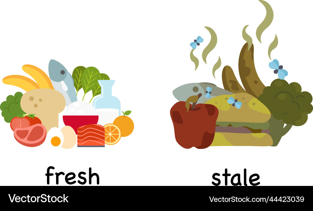 Opposite words fresh and stale Royalty Free Vector Image