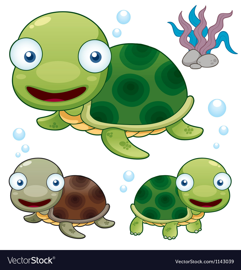 Turtle Royalty Free Vector Image - VectorStock