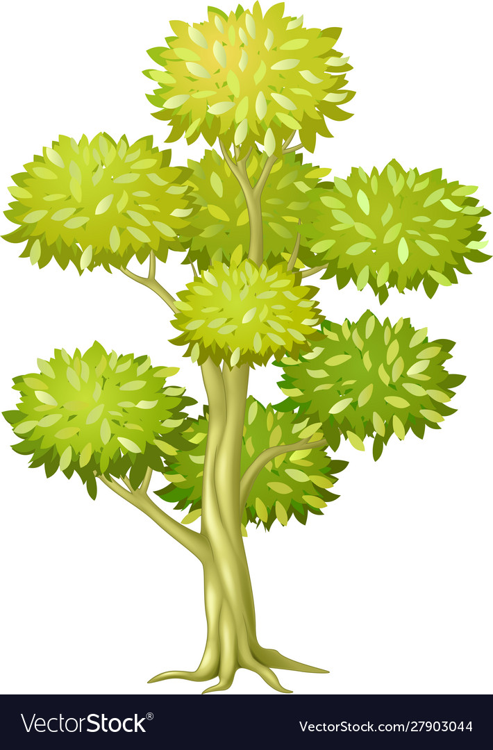 Cool green leaves tree cartoon