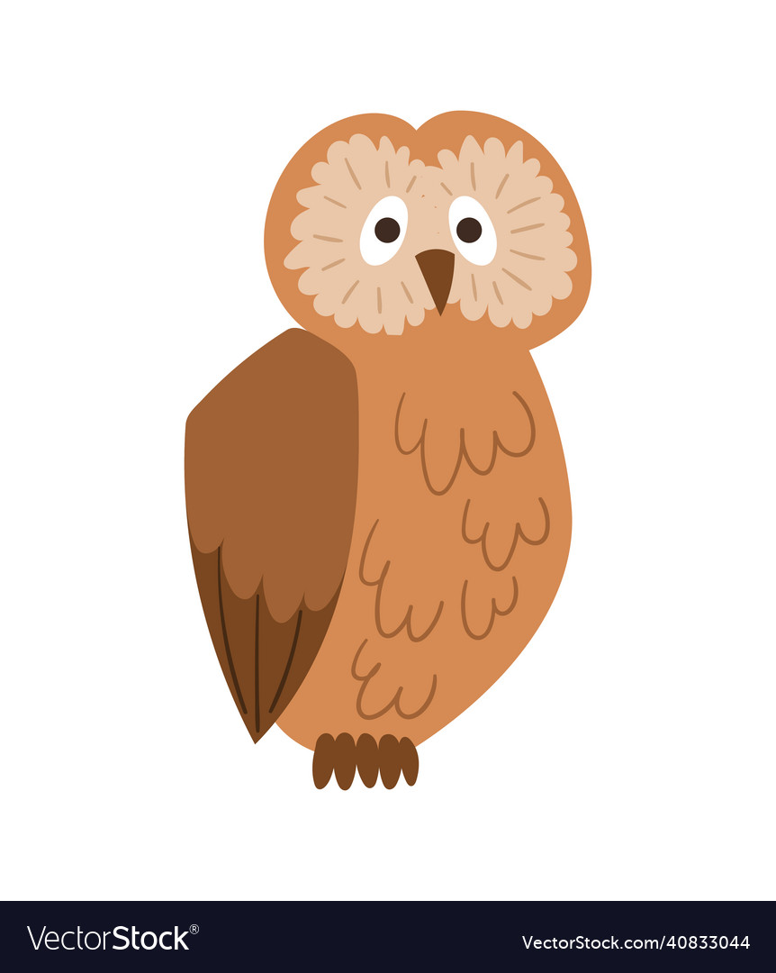 Light brown owl