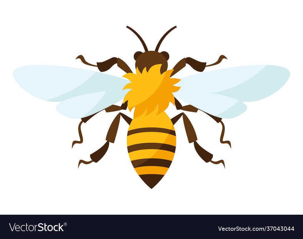 Stylized bee icon for food Royalty Free Vector Image