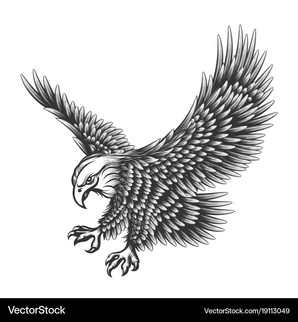 Eagle engraving Royalty Free Vector Image - VectorStock