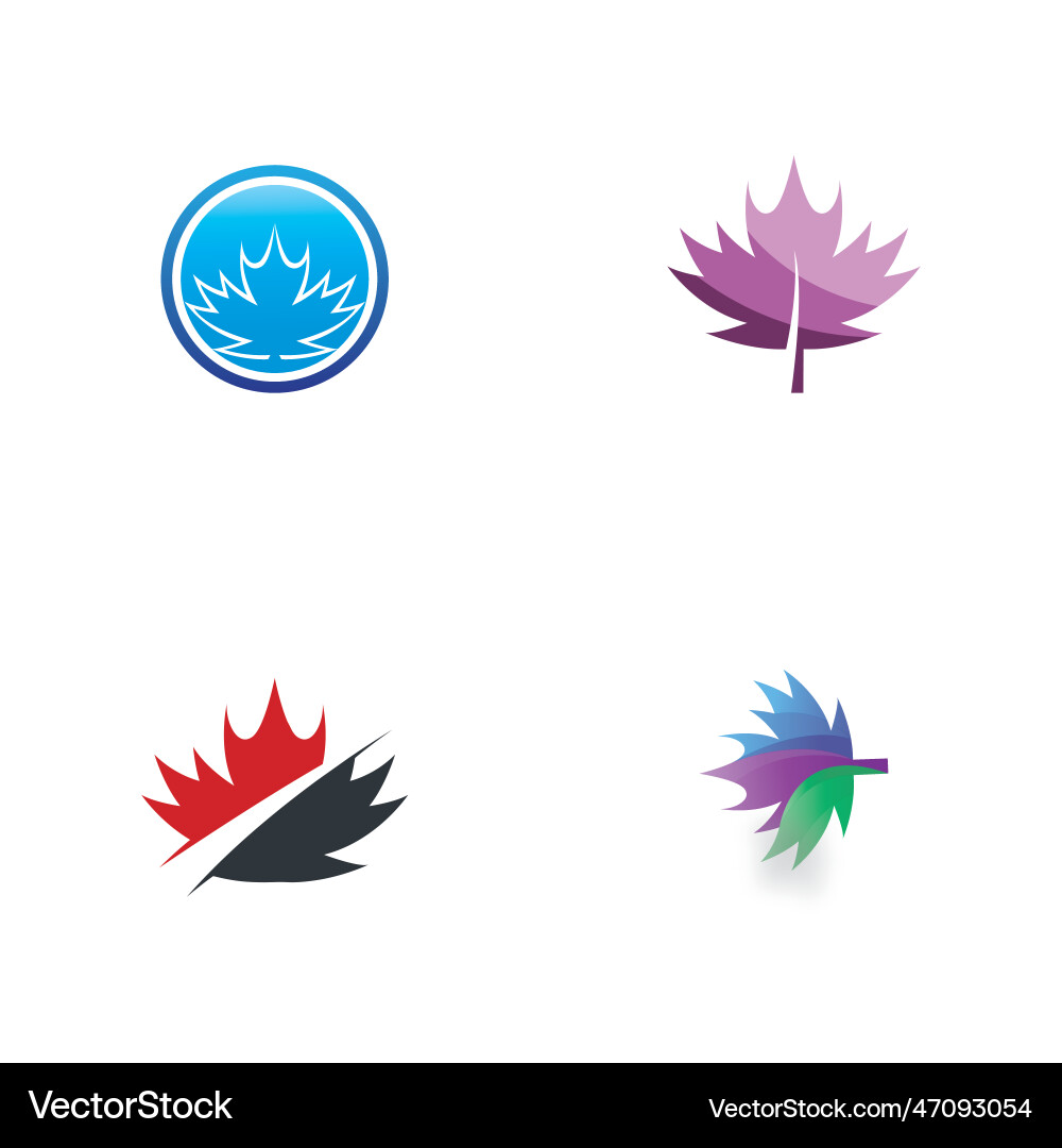 Maple leaf Royalty Free Vector Image - VectorStock