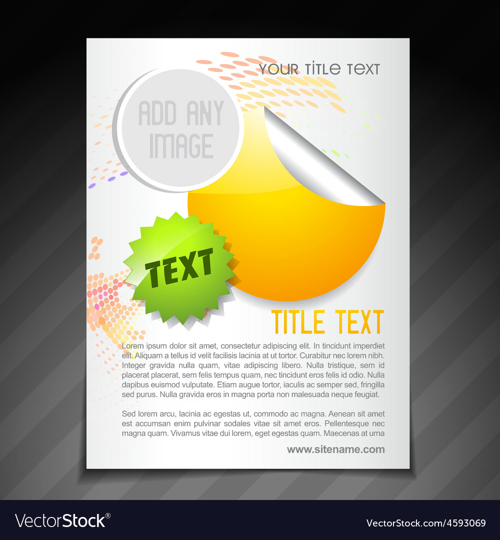 promotion brochure flyer poster template vector image