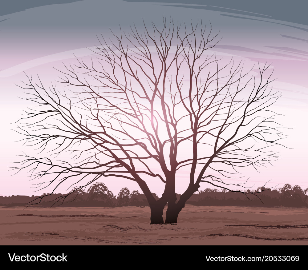 Tree landscape oak without Royalty Free Vector Image