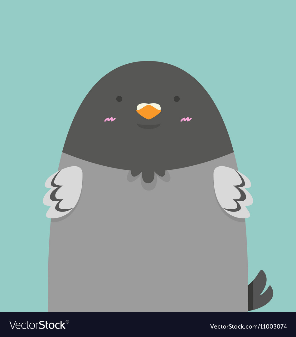 Cute big fat pigeon bird