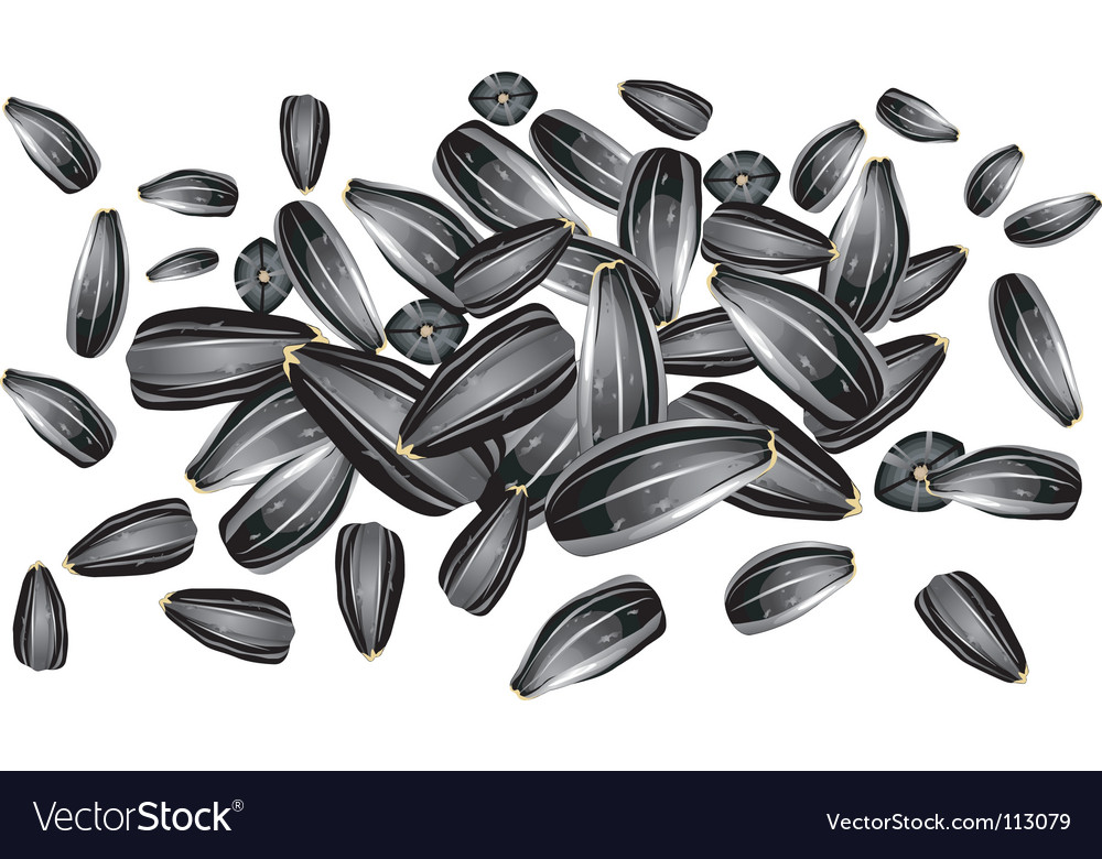 Sunflower seeds