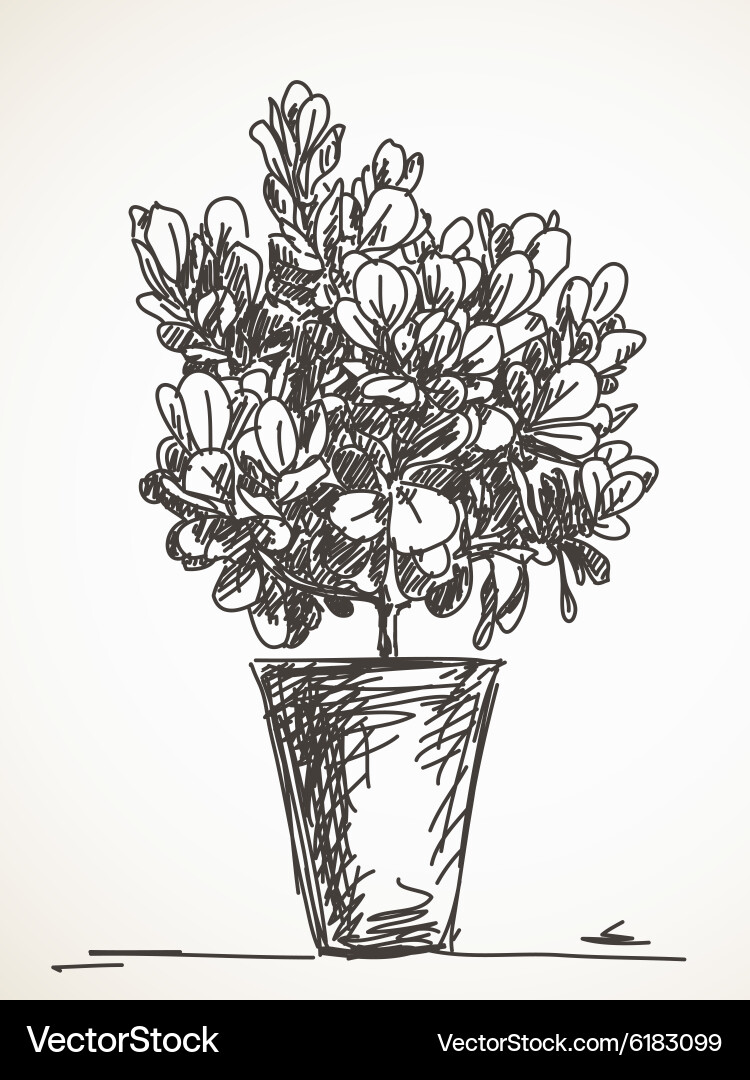 Doodle Royalty Free Vector Image - VectorStock