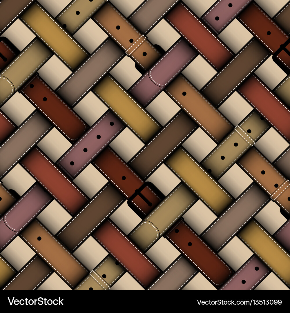 Fashion pattern with a belts Royalty Free Vector Image