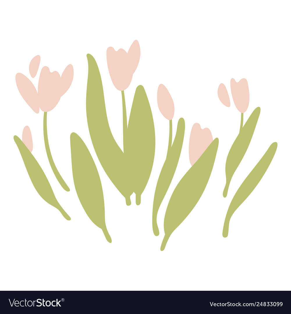 Isolated tulips flowers floral nature doodle Vector Image