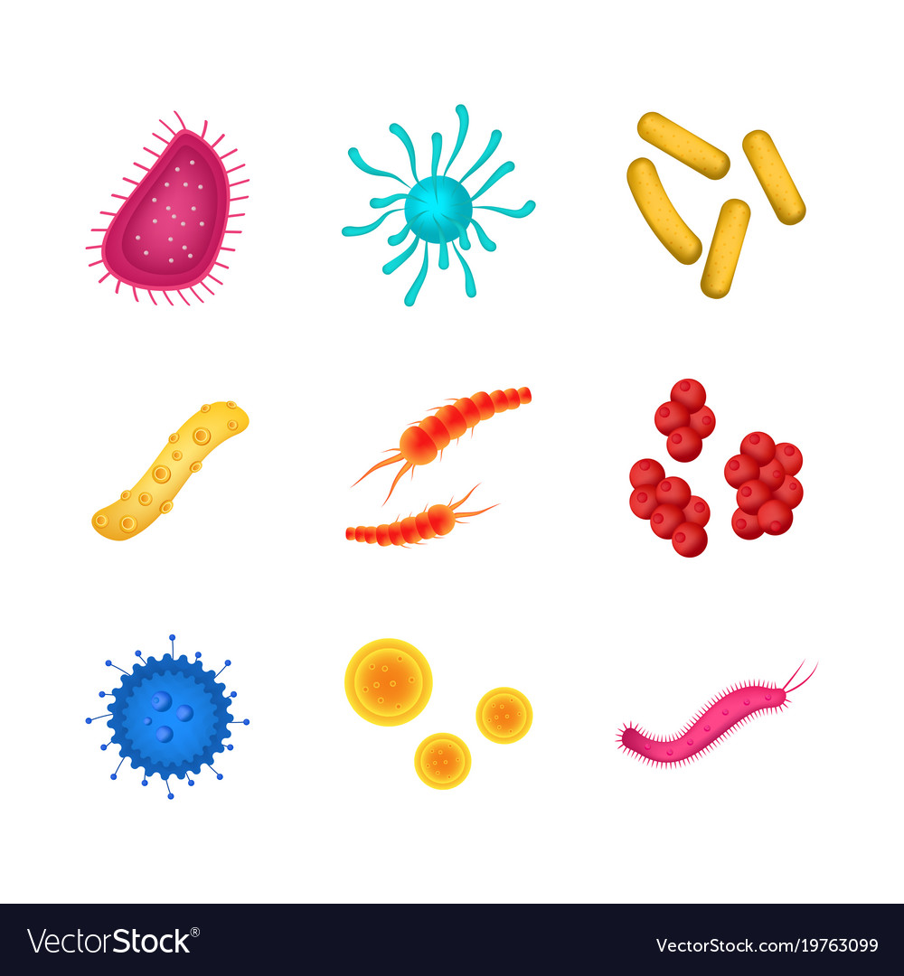 Realistic detailed 3d virus and bacteria set Vector Image