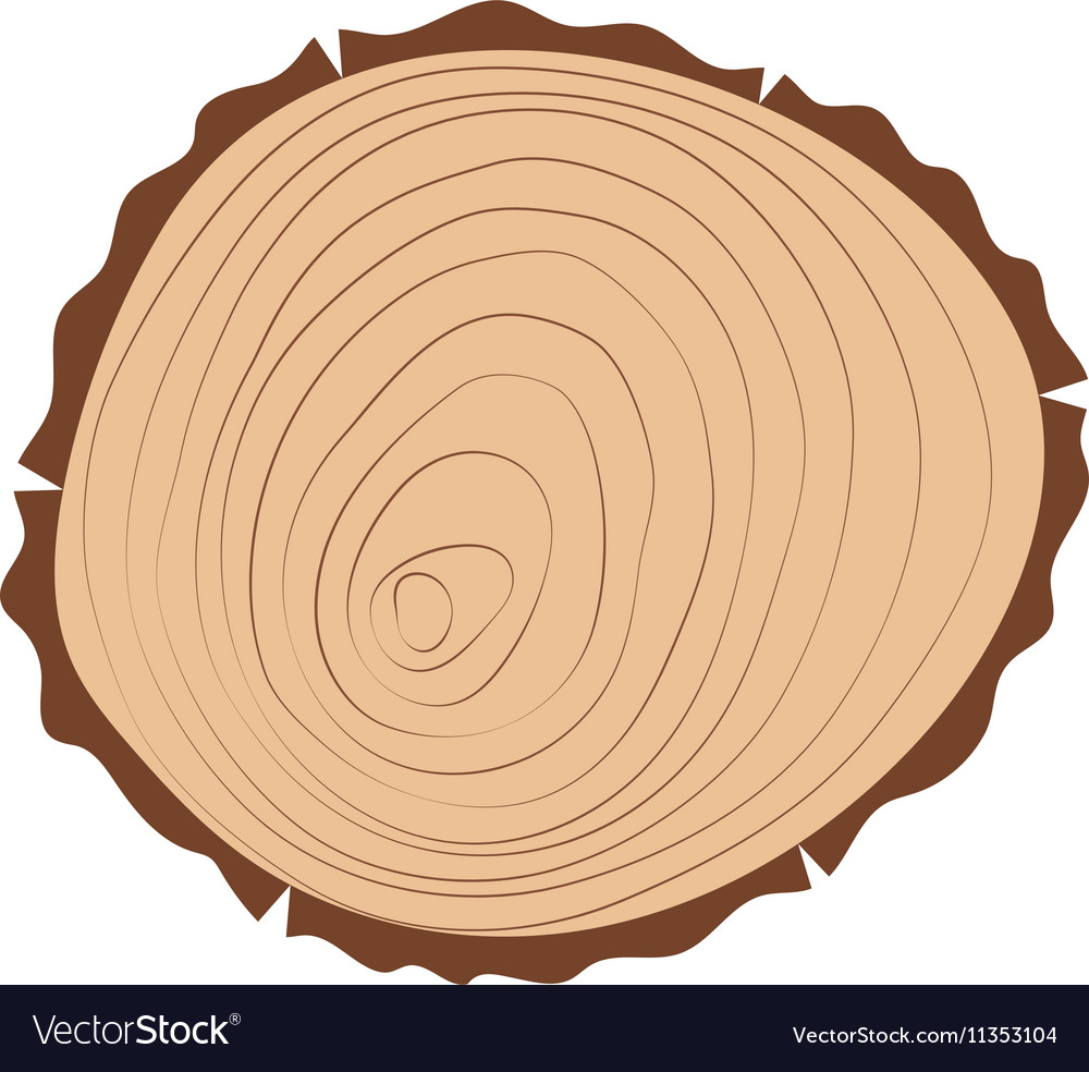Tree slice isolated Royalty Free Vector Image VectorStock
