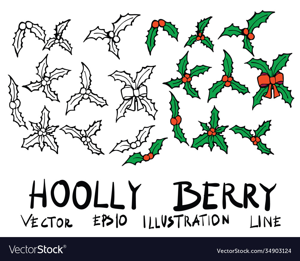 Hand drawn holly berry isolated sketch black