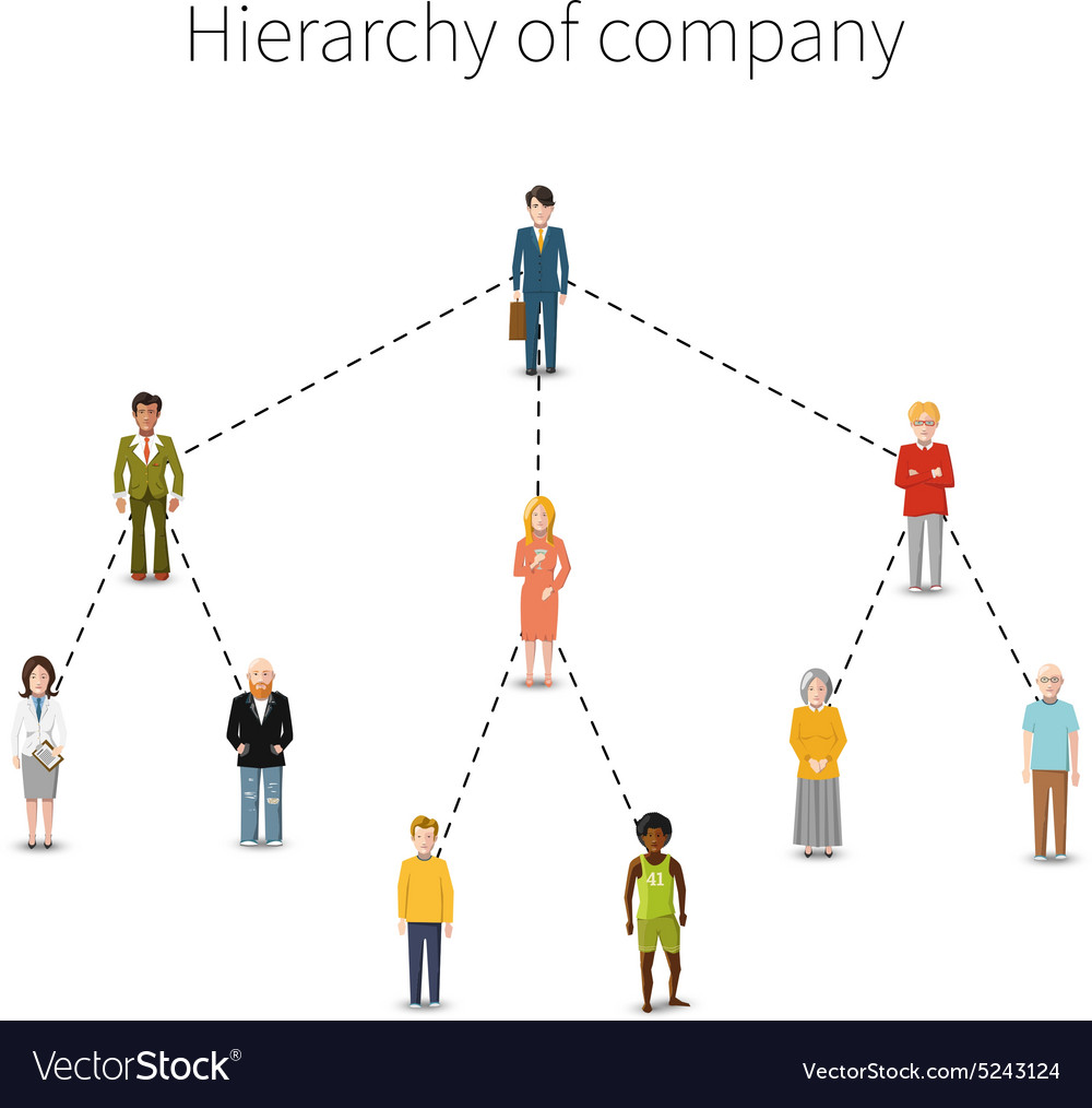 Hierarchy Of Company Flat From 10 Royalty Free Vector Image 2461