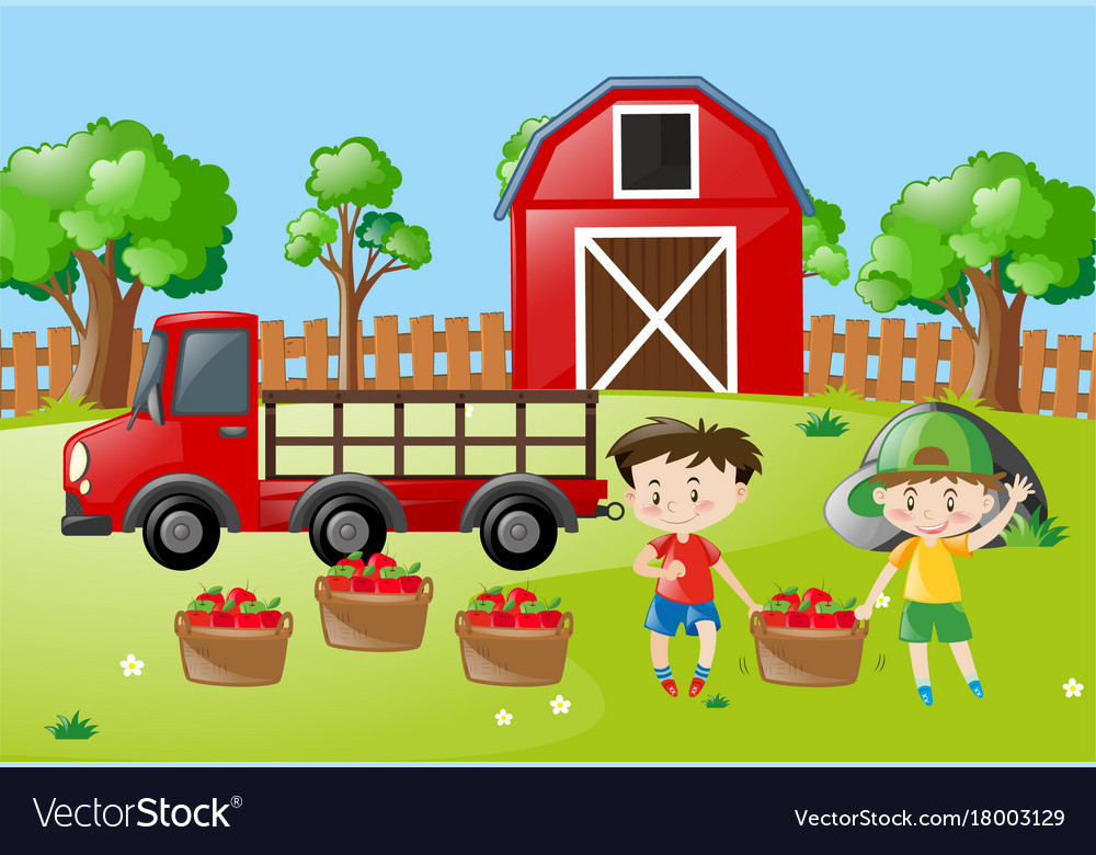 Farm scene with two boys apples in basket Vector Image