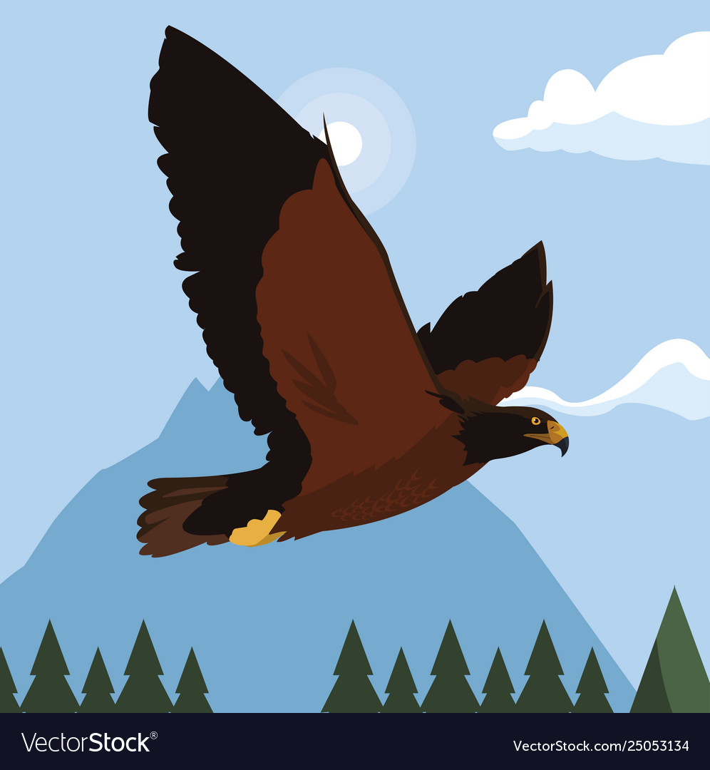 Beautiful eagle flying in landscape majestic Vector Image