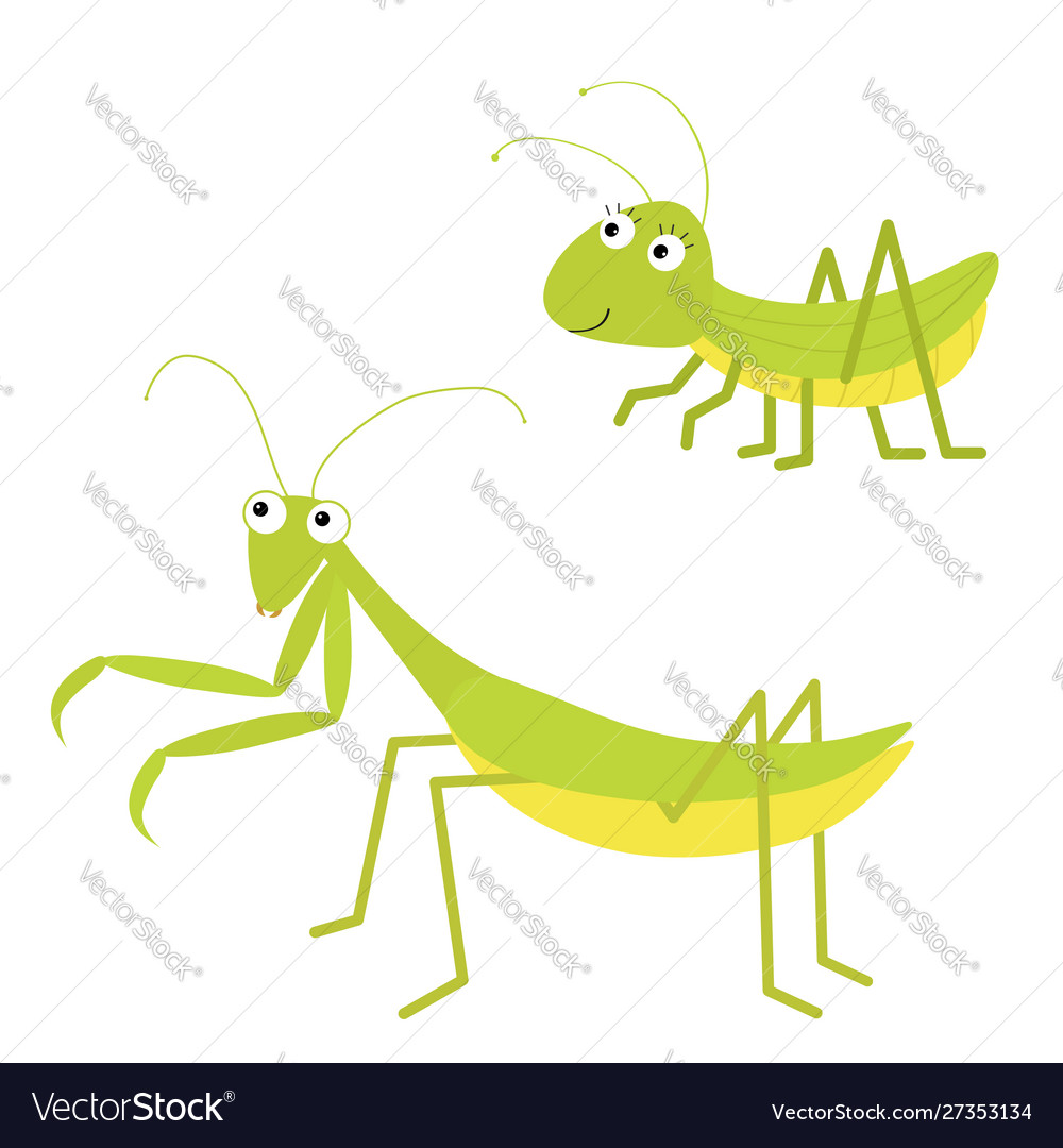 Mantis grasshopper icon set cute cartoon kawaii Vector Image