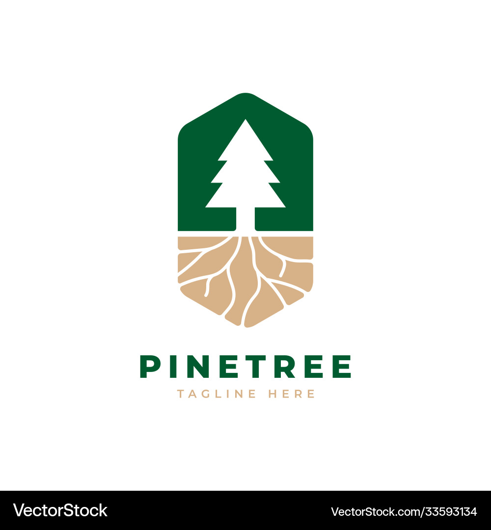 Pine tree logo design template Royalty Free Vector Image