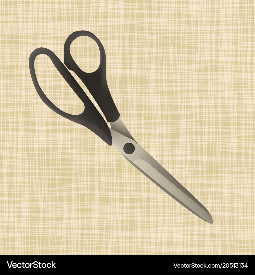 Scissors lie on the fabric Royalty Free Vector Image