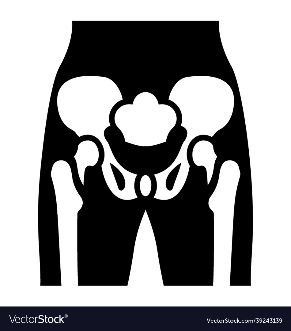 Pelvis skeleton Royalty Free Vector Image - VectorStock