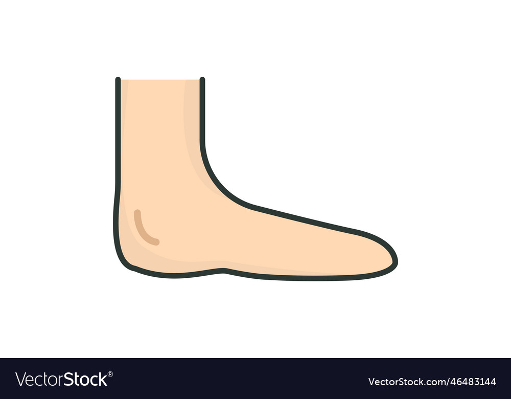 Human Leg Icon Icon Related To Organ Flat Vector Image