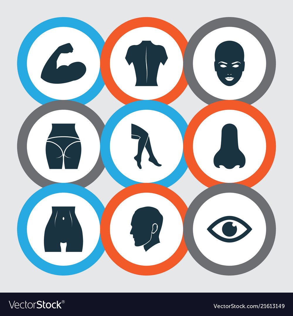 Body Icons mit Nasenarm hinten und anderer Ansicht