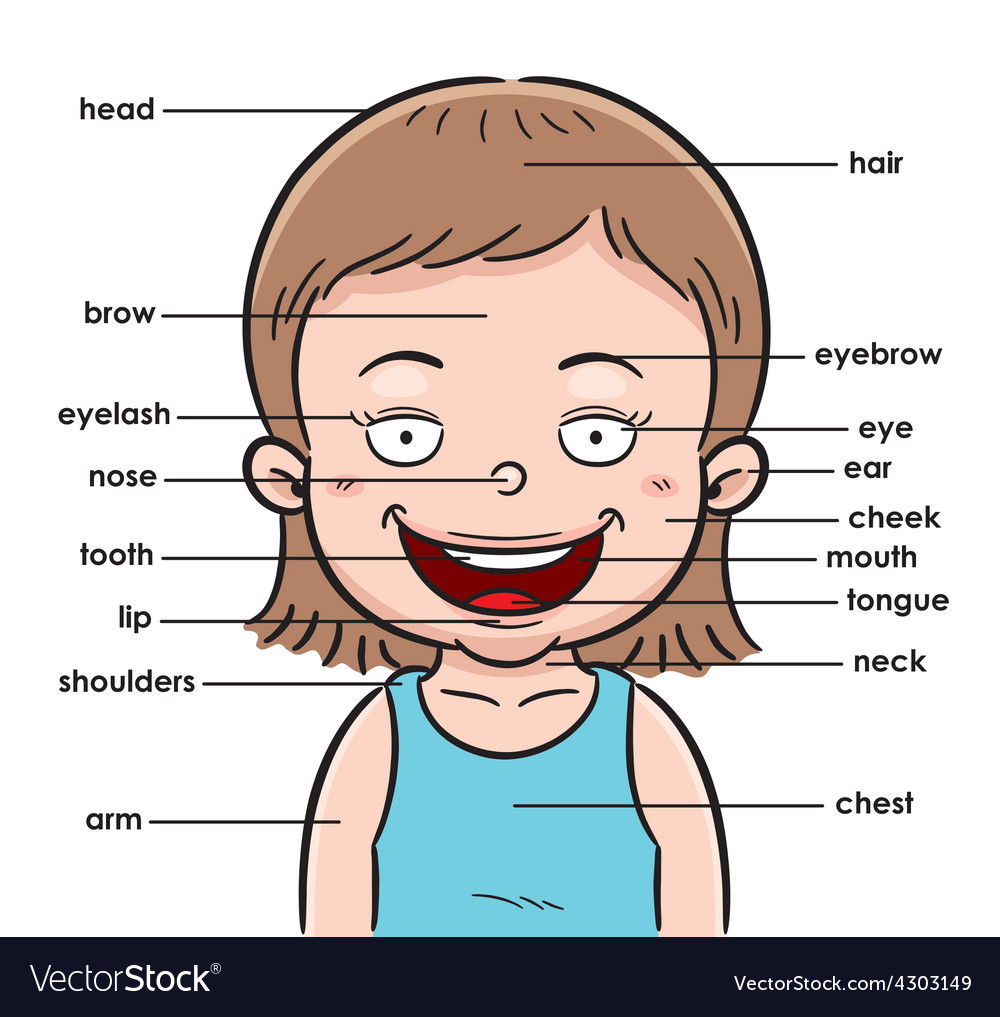 Vocabulary part Royalty Free Vector Image - VectorStock