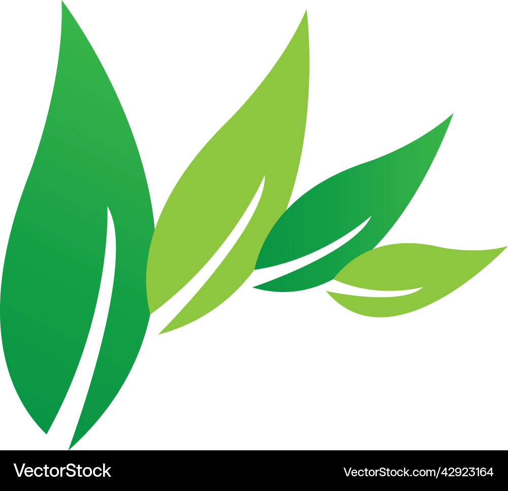 Leaf logo Royalty Free Vector Image - VectorStock