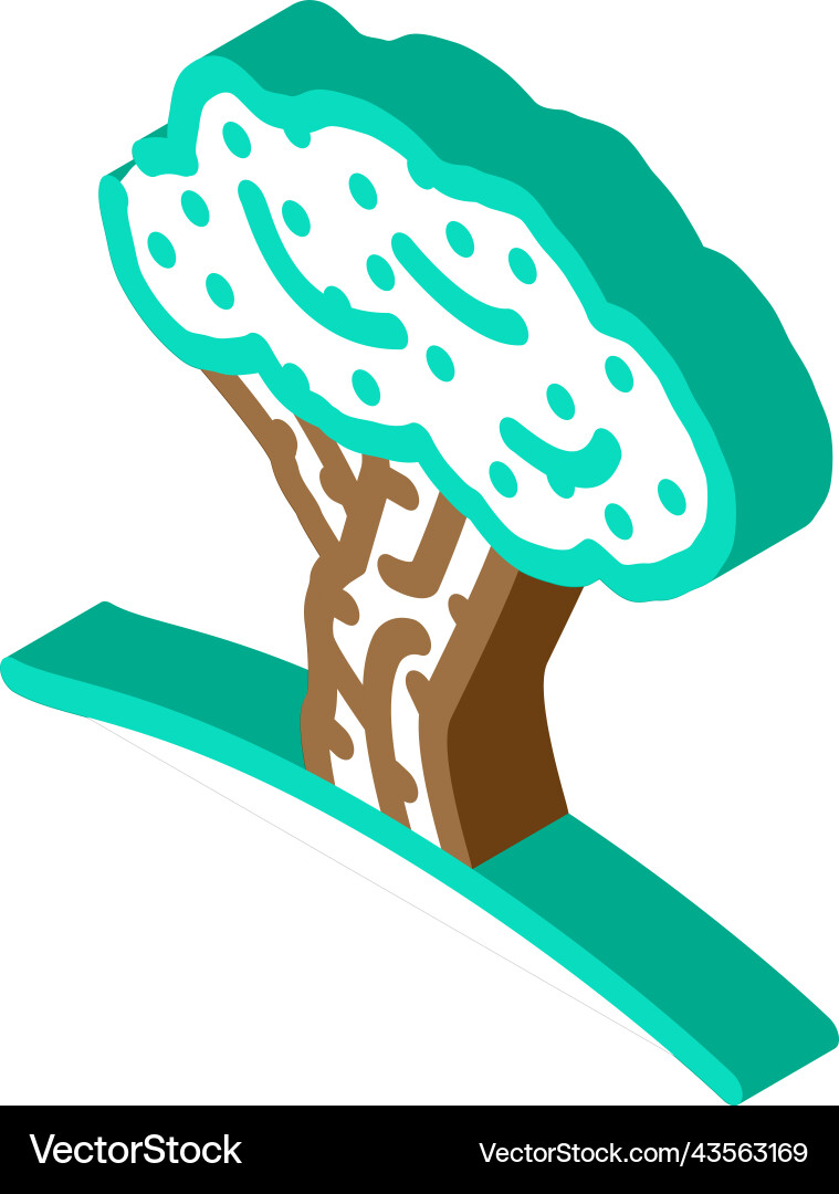 Olive tree isometric icon Royalty Free Vector Image