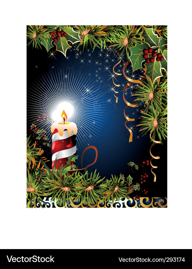 Christmas floral background Royalty Free Vector Image