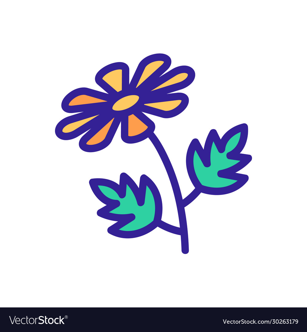 Chrysanthemum icon outline