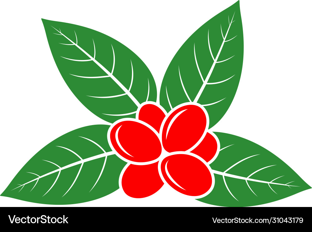 Coffee Royalty Free Vector Image - VectorStock