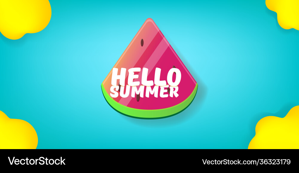 Hello Summer Beach Party Horizontal Banner Vector Image
