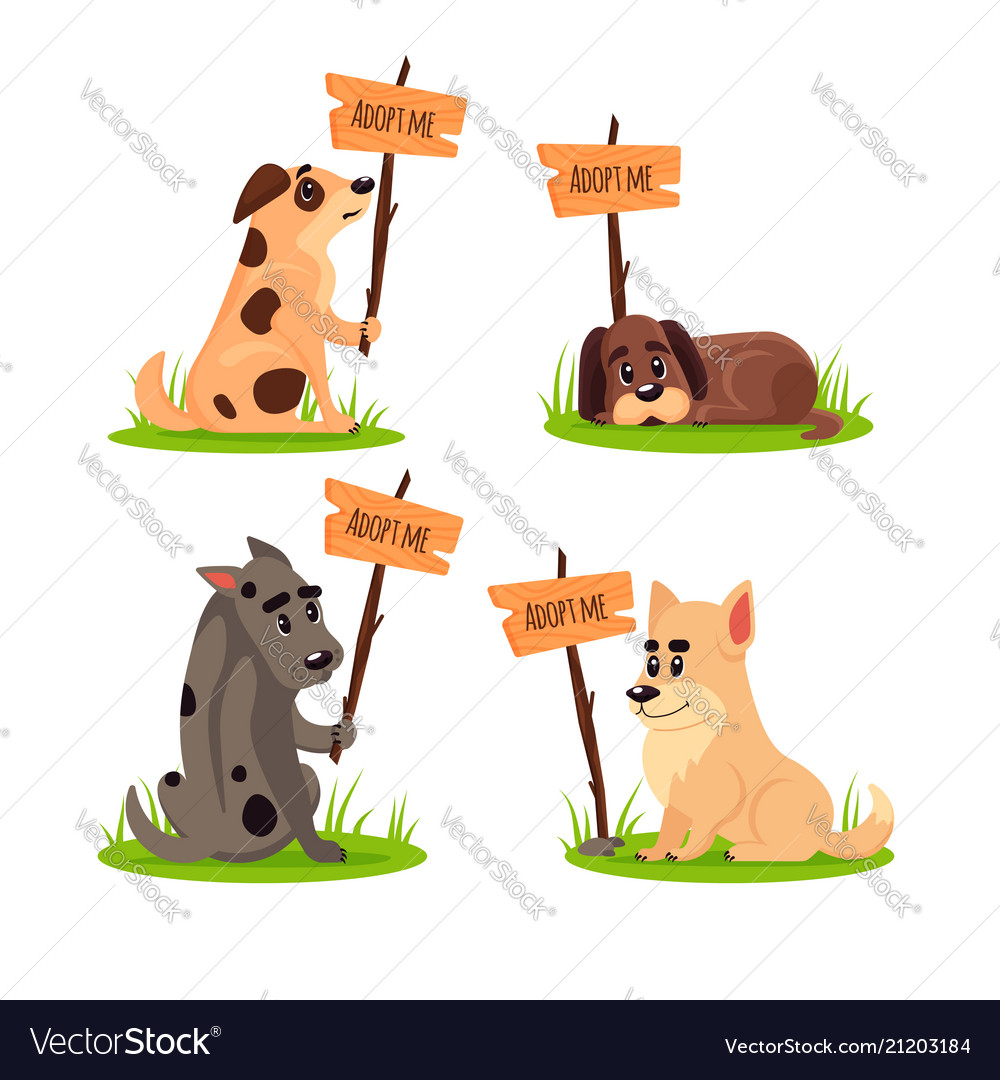Set of sitting homeless dogs with a poster adopt Vector Image Set of sitting homeless dogs with a poster adopt Vector Image