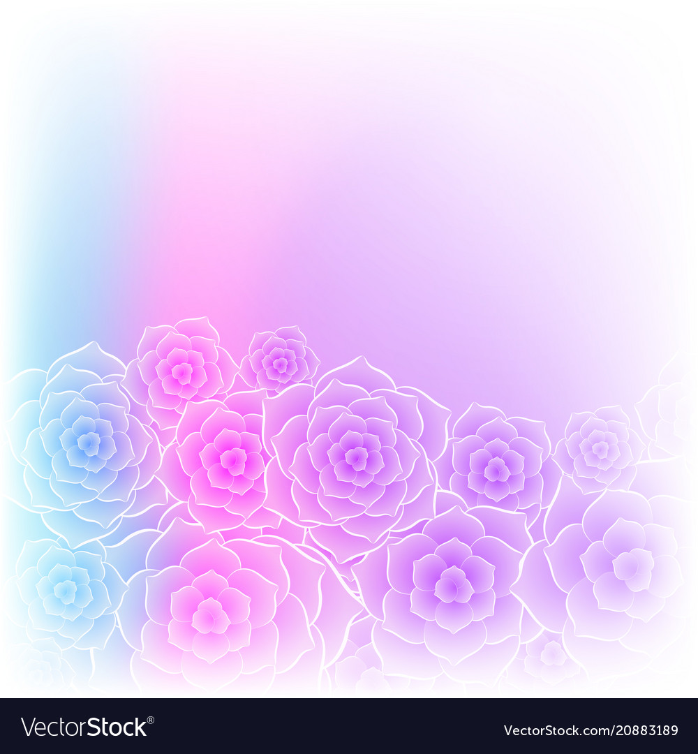 Beautiful purple pink rose flower background