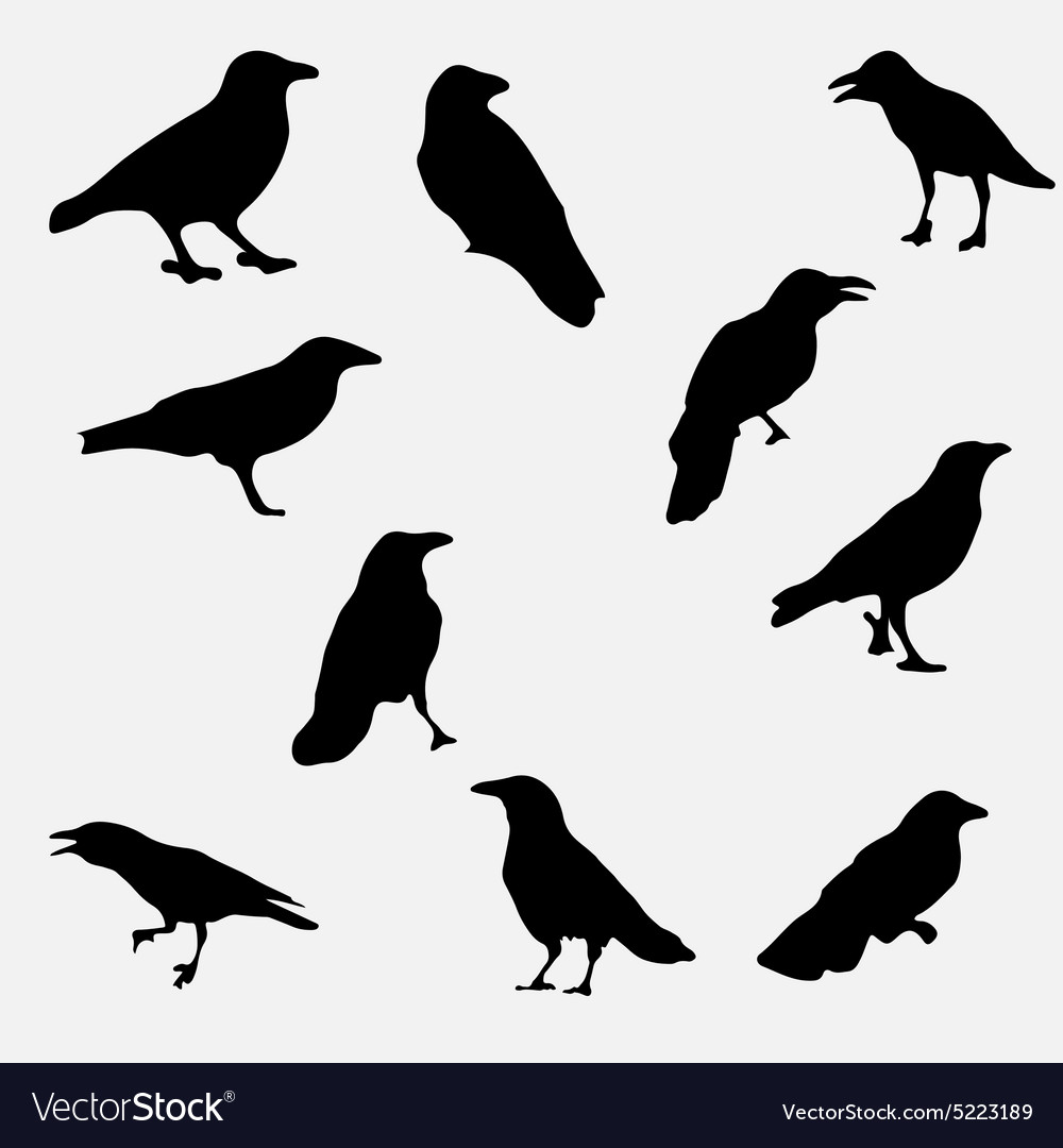 Ravens Royalty Free Vector Image - VectorStock