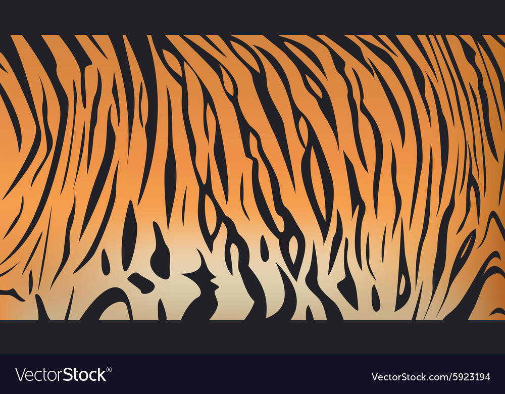 Bengal tiger stripe pattern Royalty Free Vector Image