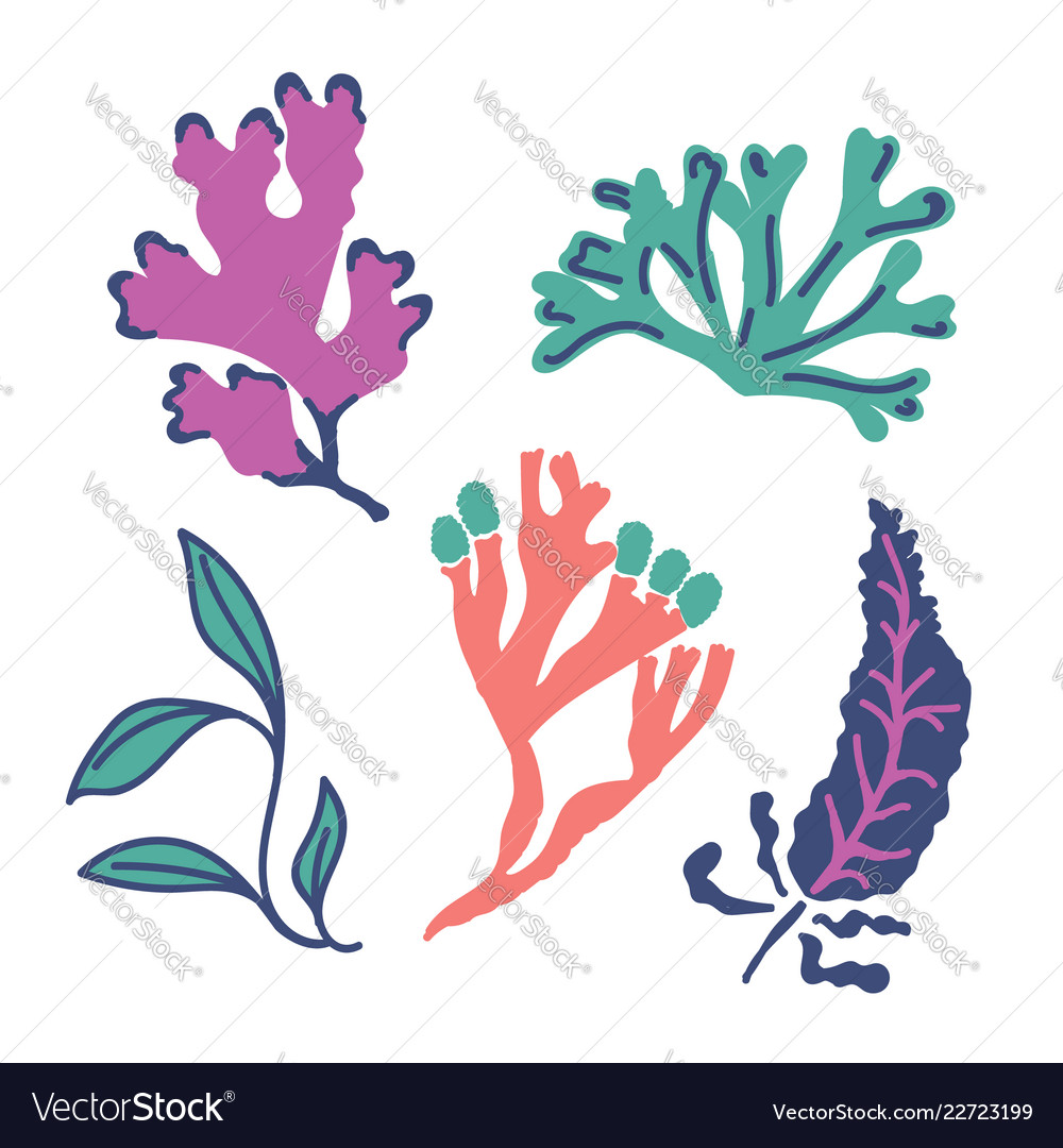 Set of abstract seaweed flat cartoon sea algae