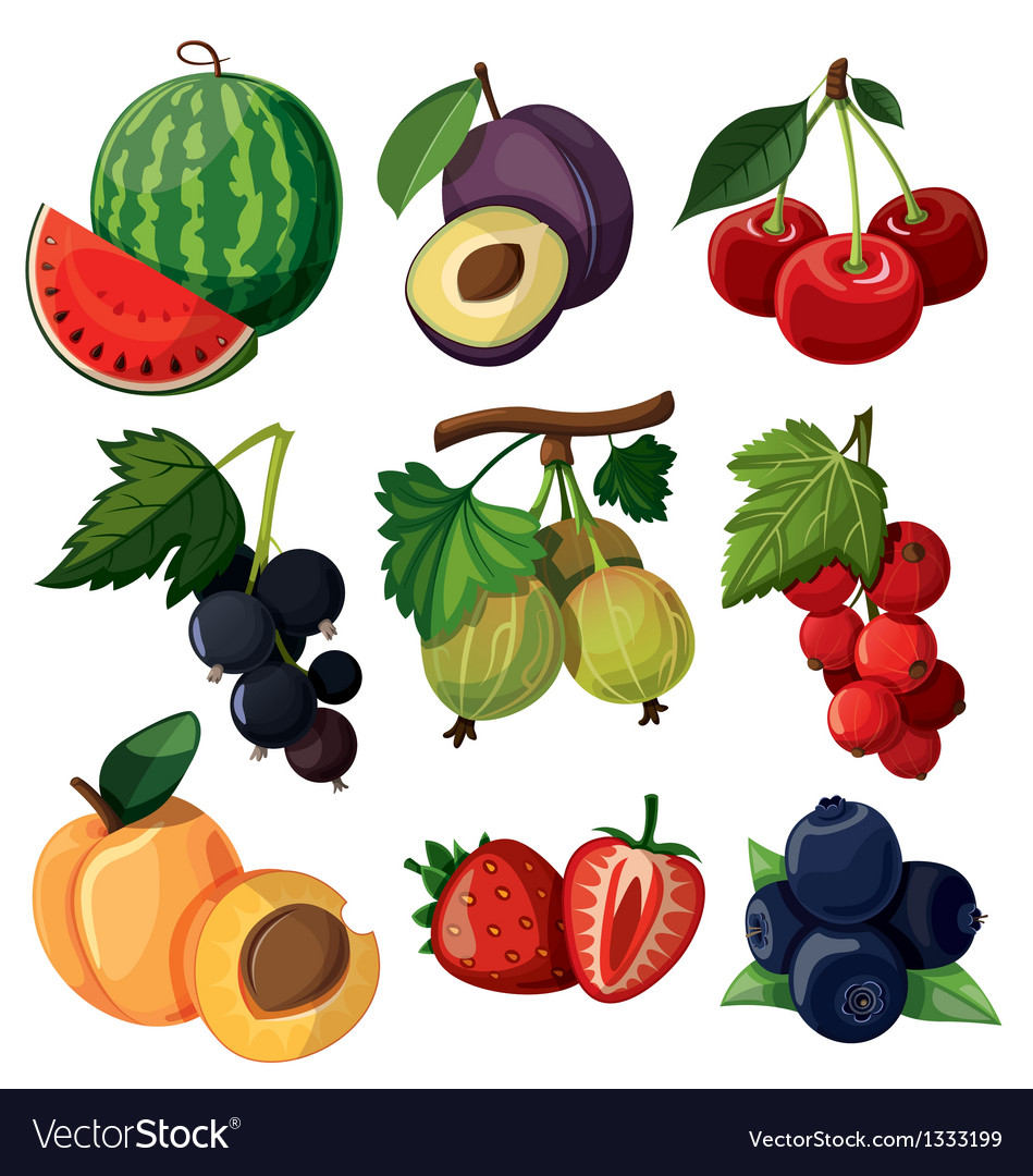 Set of isolated berries Royalty Free Vector Image