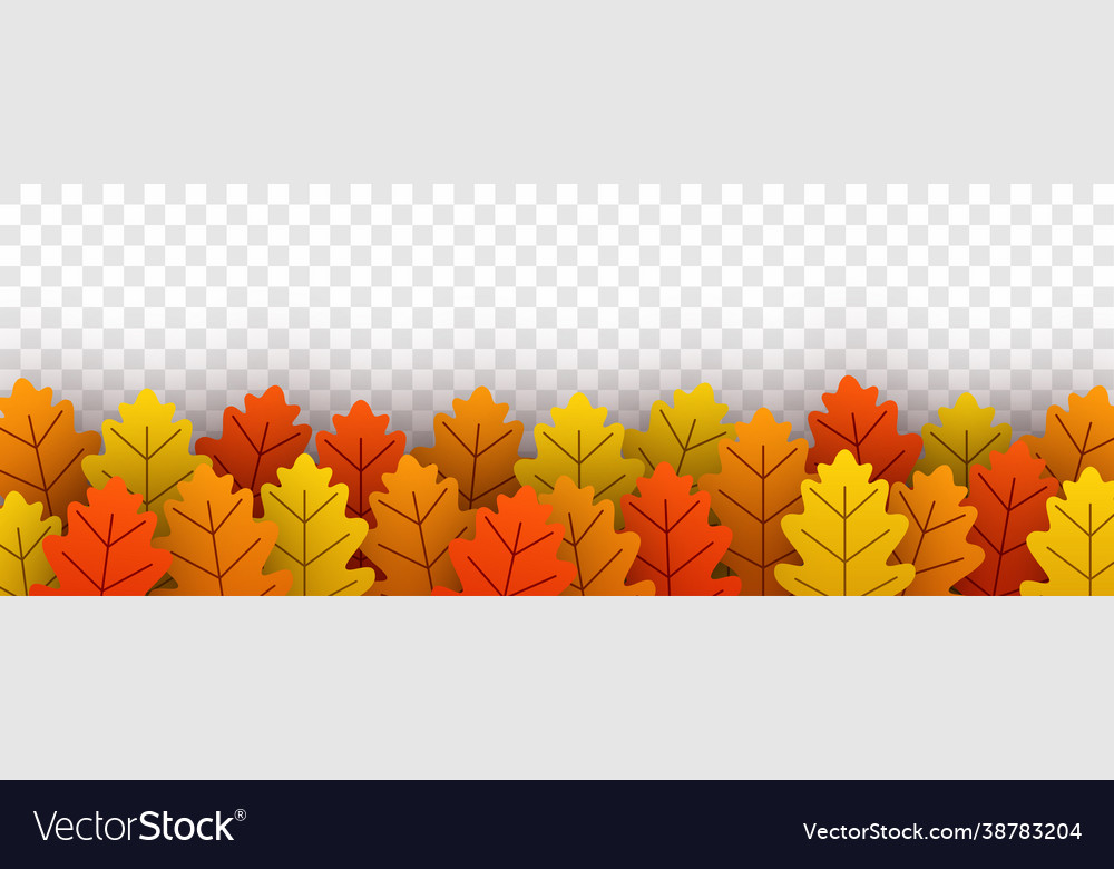 Autumn gold oak leaves on transparent background