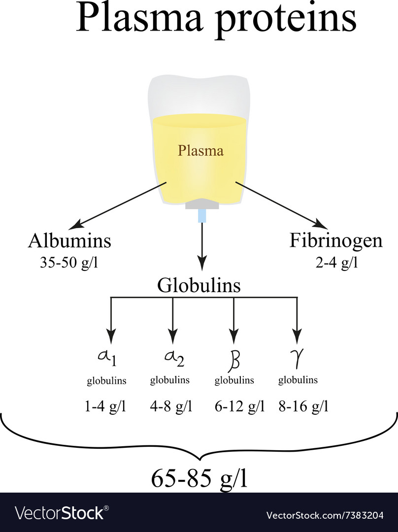 Plasma proteins albumin fibrinogen globulin