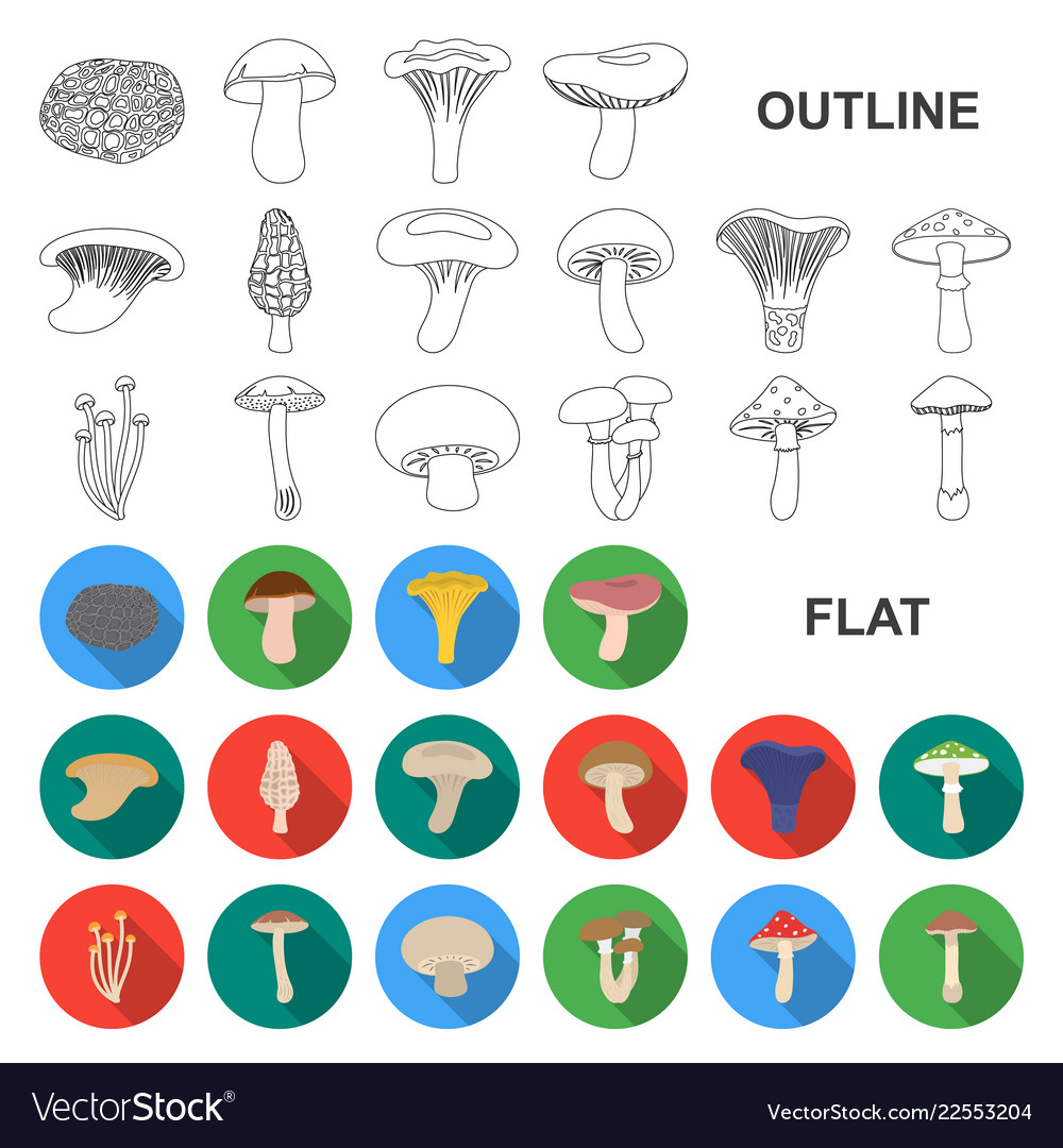 Poisonous and edible mushroom flat icons in set