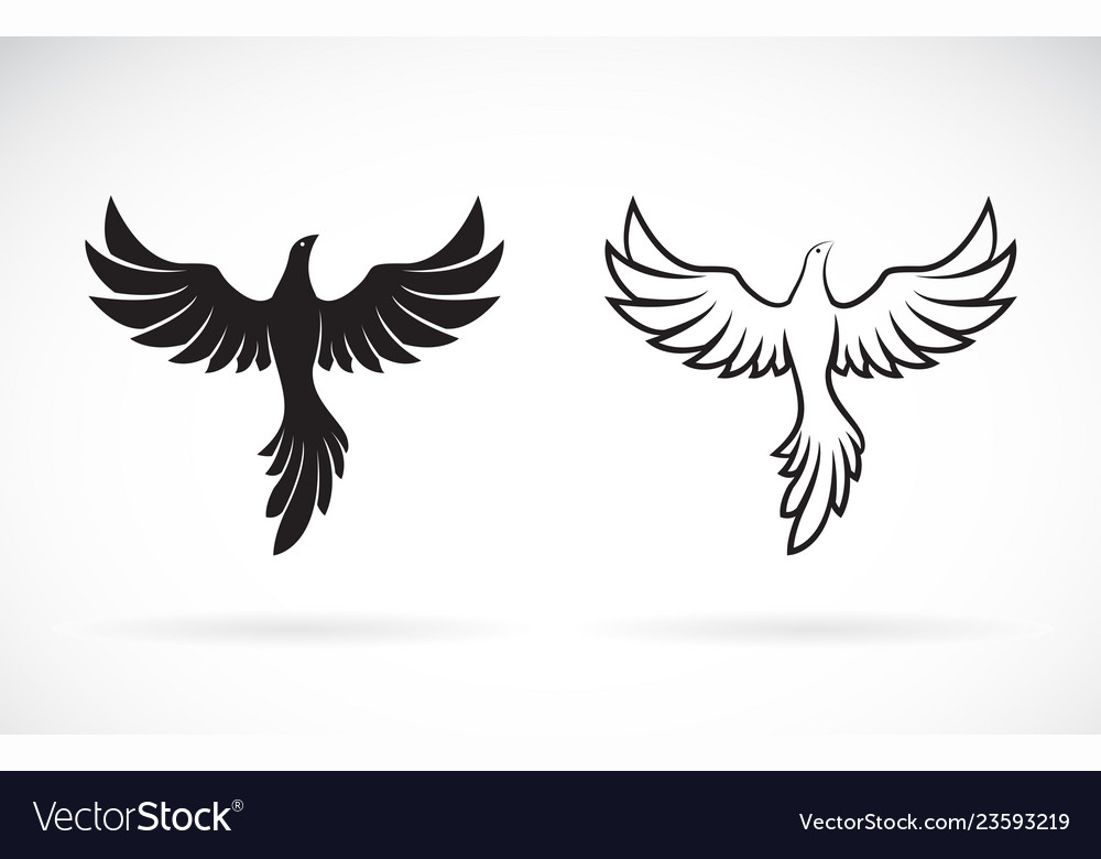 Birds design on a white background wild animals vector image Birds design on a white background wild animals