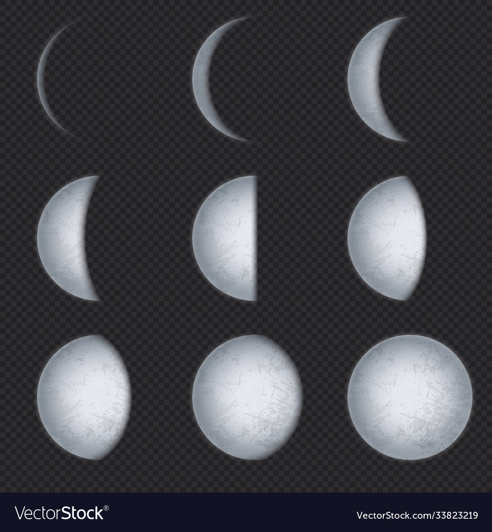 Realistic moon phases lunar phase full luna Vector Image