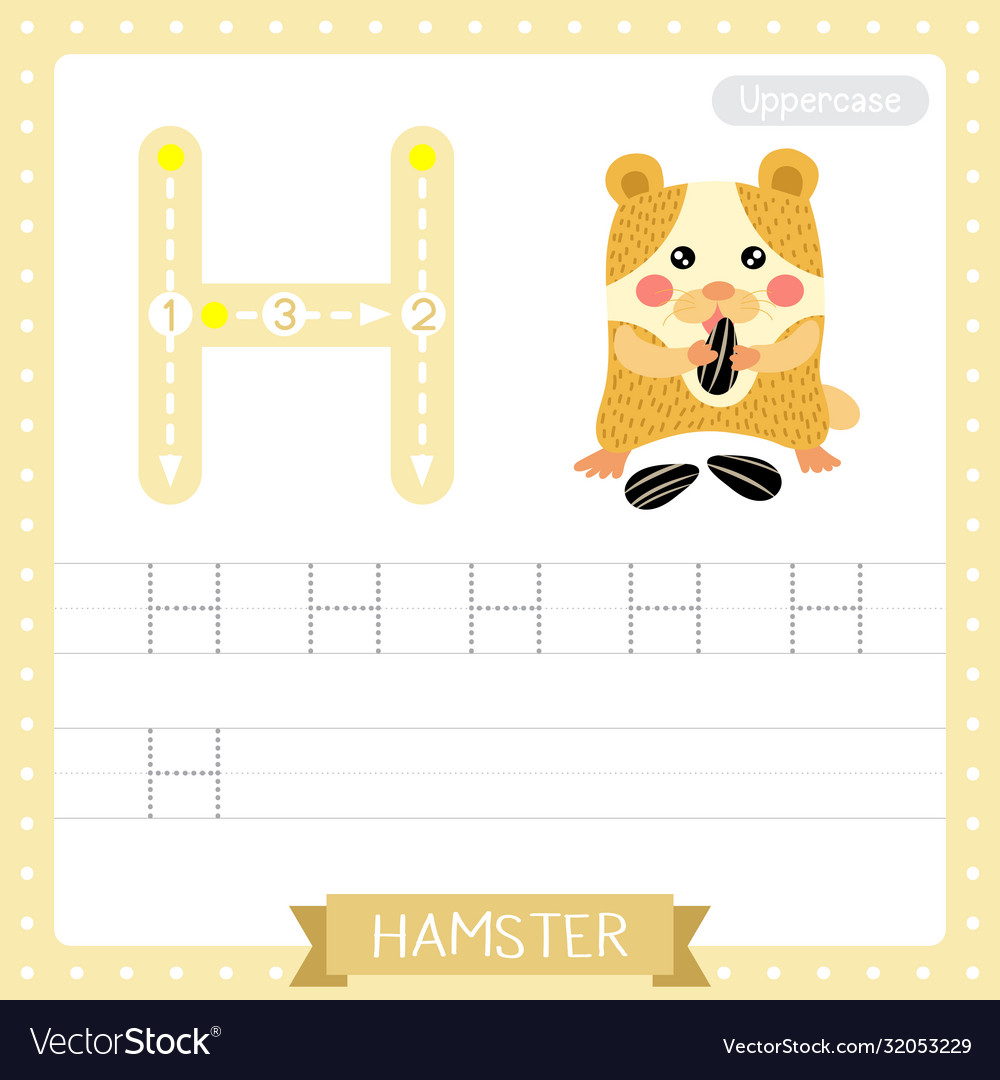letter h uppercase tracing practice worksheet vector image